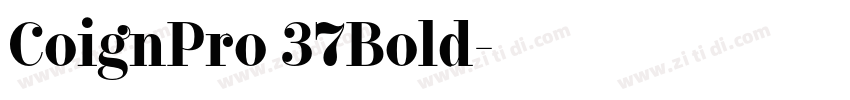 CoignPro 37Bold字体转换